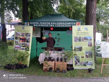 Piknik Rodzinny w Ksawerowie, <p>fot. M. Starnowski</p>